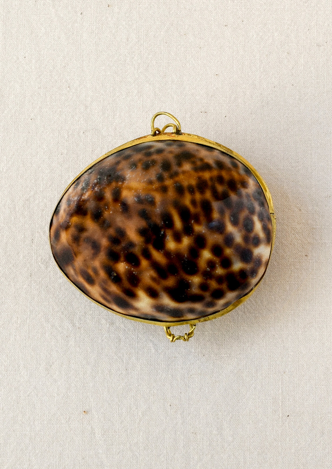 A brown cowrie shell trinket box.