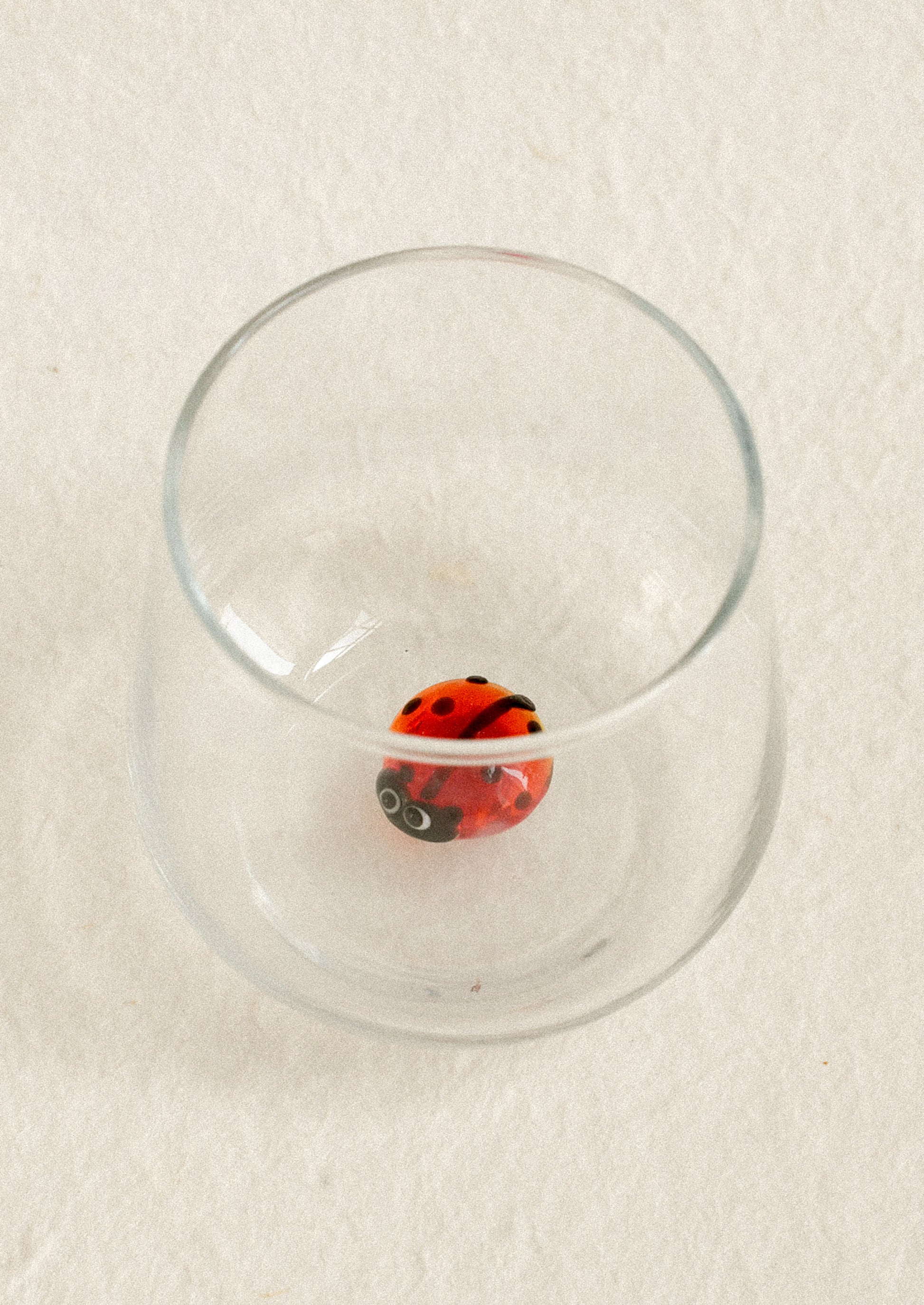A small red and black ladybug bead resting inside a clear glass on a textured off-white background.