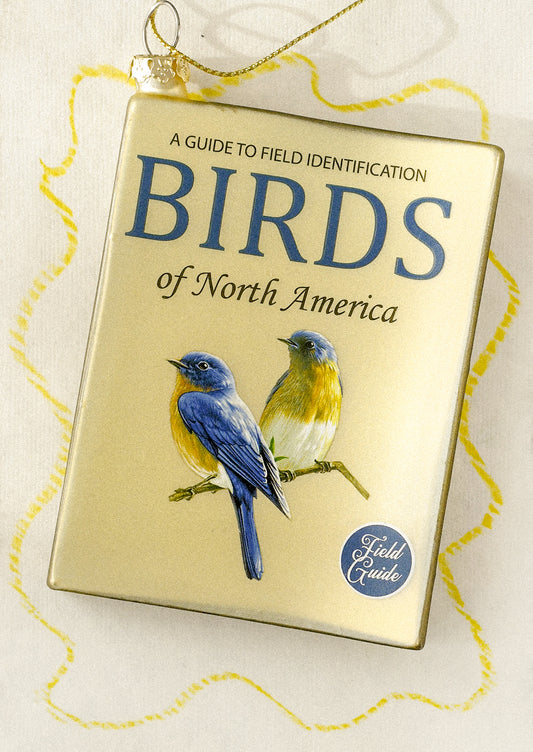 A glass ornament depicting a bird field guide book.