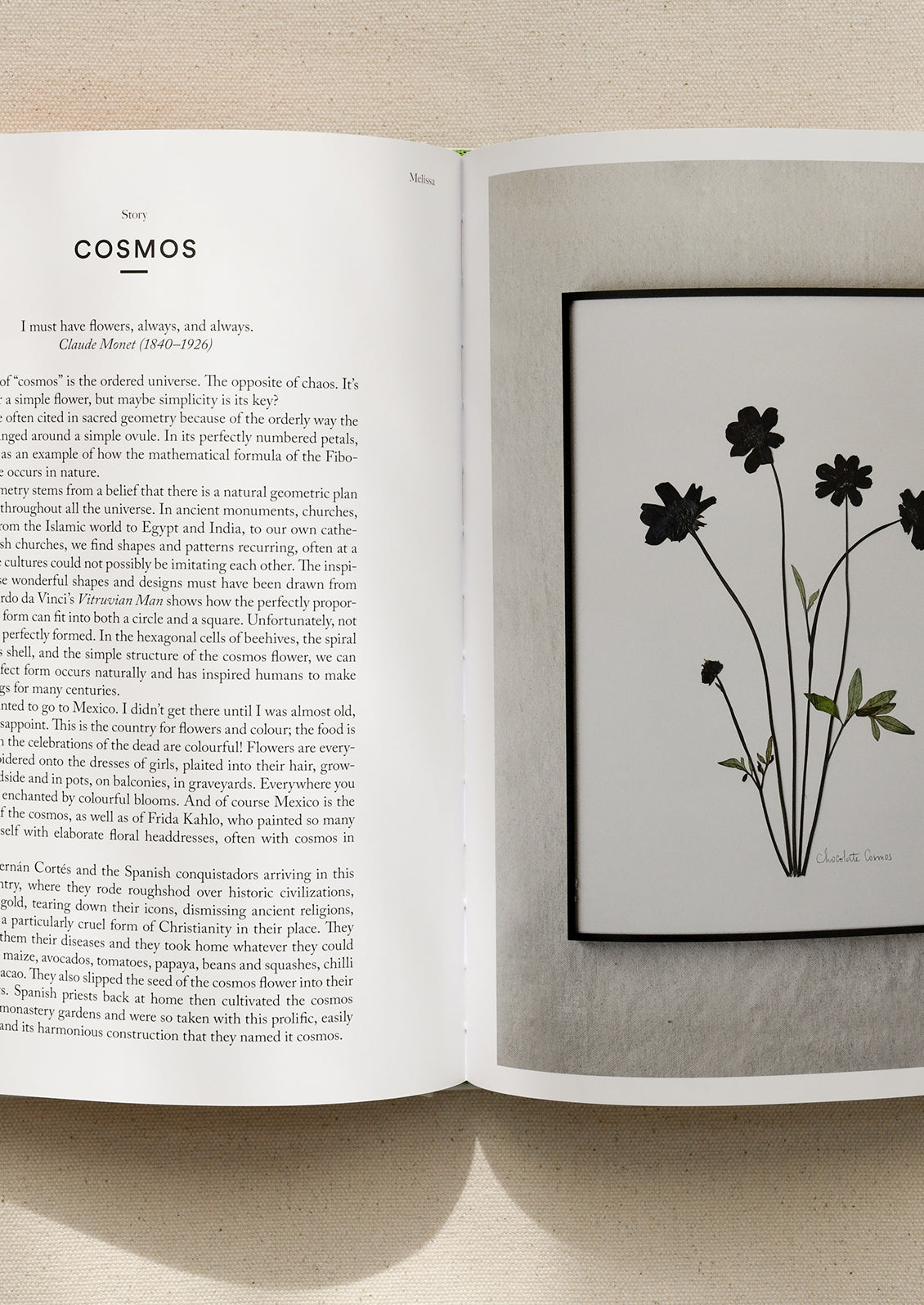 Interior pages of a book detailing projects you can do with pressed flowers.