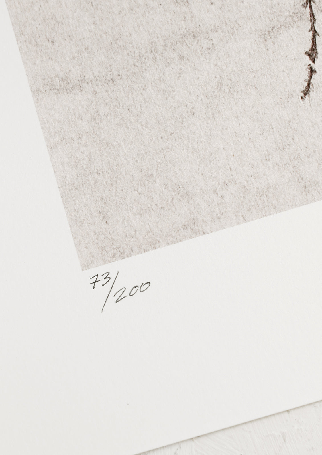 A botanical art print of heather plant in brown.