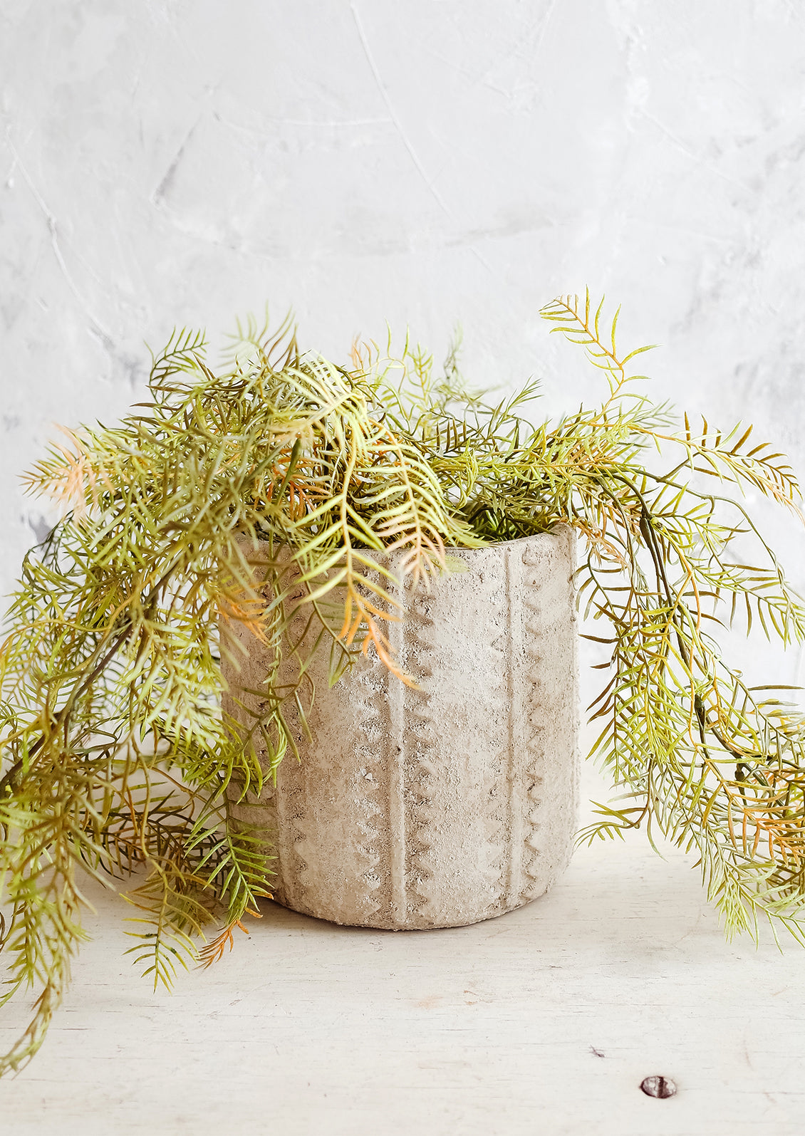 Distressed planter in concrete-like texture with stripe and zigzag detailing with trailing plant
